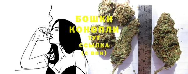 амф Магас