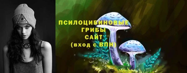 амф Магас