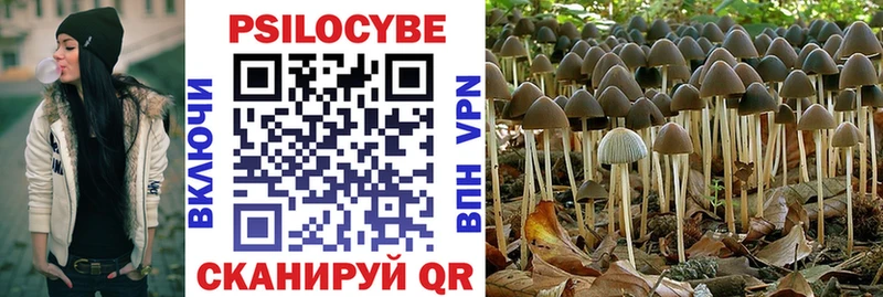 Галлюциногенные грибы Magic Shrooms  Южно-Сухокумск 